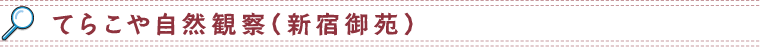 てらこや自然観察（新宿御苑）